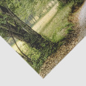 国の道 薄葉紙 (詳細)