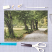 国の道 薄葉紙 (クラフト)