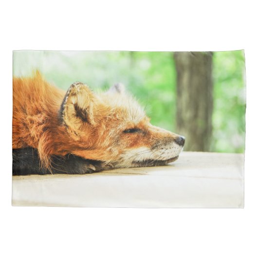 国の野性生物の眠いアカギツネ 枕カバー (裏面)