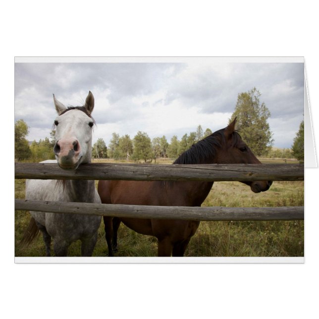 国の風景 (正面横)