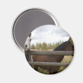 国の風景 マグネット (正面/裏面)
