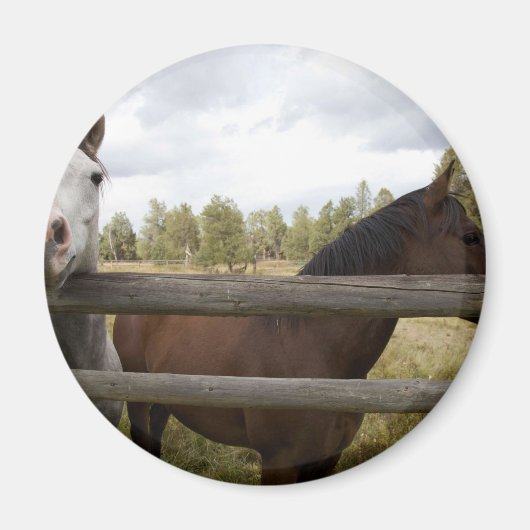 国の風景 マグネット (正面)