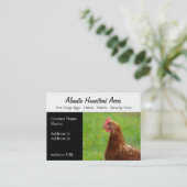 国の鶏の   名刺 (スタンド正面)