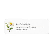 国カジュアルデイジー