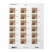 国シックフランスの,みすぼらしいシック,ピンクのバラ,フローラ ラベル (フルシート)