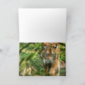 国スマトラの虎の若者 カード (内部)