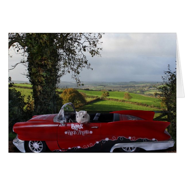 国ドライブ (正面横)