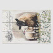 国フランスの植物学サフォークヒツジ 薄葉紙 (正面)