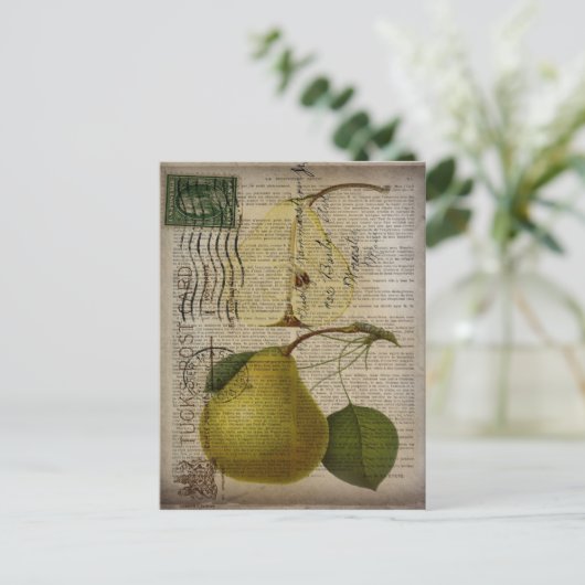 国フランスの植物性イラストレーションヴィンテージ梨 ポストカード (スタンド正面)