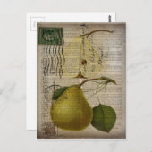 国フランスの植物性イラストレーションヴィンテージ梨 ポストカード (正面/裏面)
