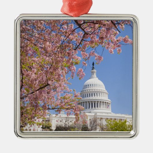 国会議事堂の建物の前の桜 メタルオーナメント (正面)