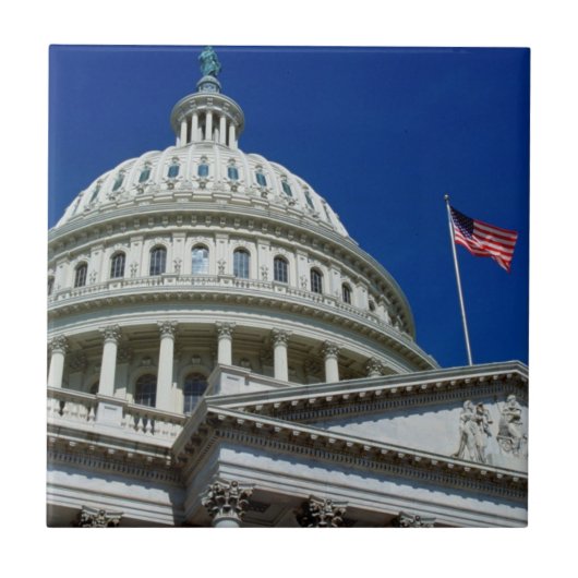 国会議事堂の建物、ワシントン州、米国 タイル (正面)