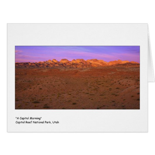 "国会議事堂の朝" (正面横)