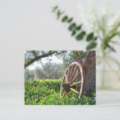 国側のシーンハガキ ポストカード (スタンド正面)