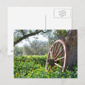 国側のシーンハガキ ポストカード (正面/裏面)