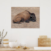 国内アジア水牛 ポスター (キッチン)