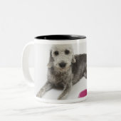 国内ペットのためのペットの世話、健康および栄養物 ツートーンマグカップ (正面左)