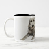 国内ペットのためのペットの世話、健康および栄養物 ツートーンマグカップ (左)