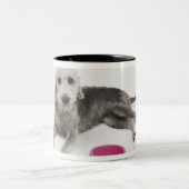 国内ペットのためのペットの世話、健康および栄養物 ツートーンマグカップ (中央)
