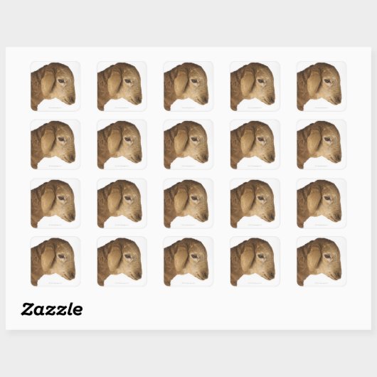 国内子羊 スクエアシール (シート)