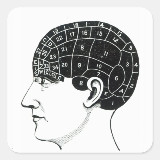 国内性向 スクエアシール (正面)