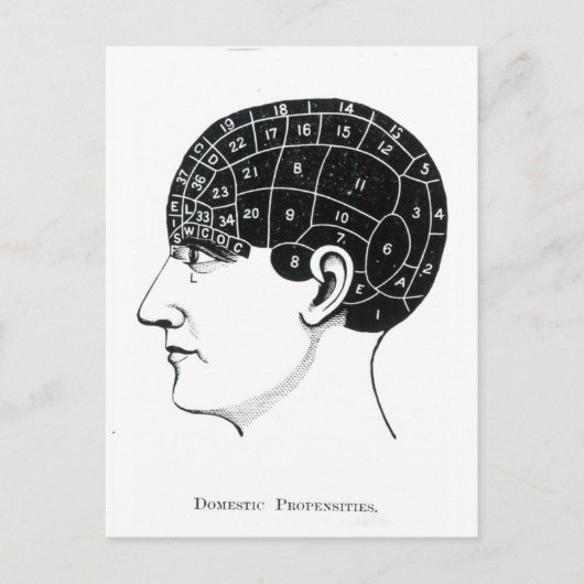 国内性向 ポストカード (正面)