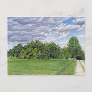 国別フィールドはがき ポストカード