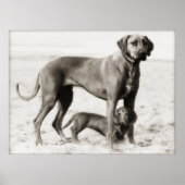 国土安全保障 ポスター (正面)