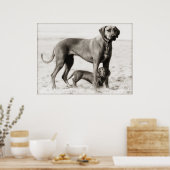 国土安全保障 ポスター (キッチン)