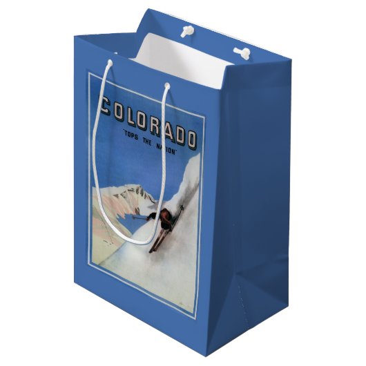 国家-スキーの昇進ポスター--を越えます ミディアムペーパーバッグ (正面アングル)