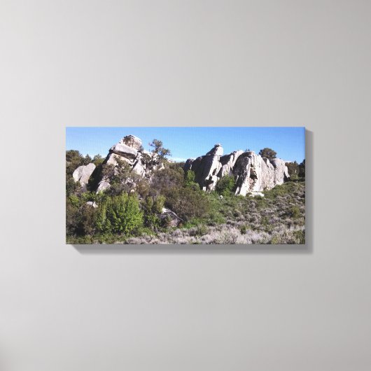 国庫区の岩石市編隊 キャンバスプリント (正面)