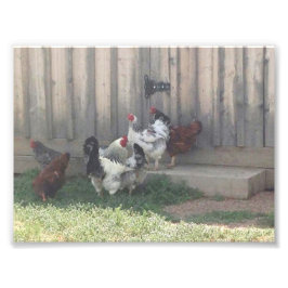 国情景 フォトプリント           