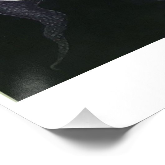 国有林の曲芸 ポスター (コーナー)