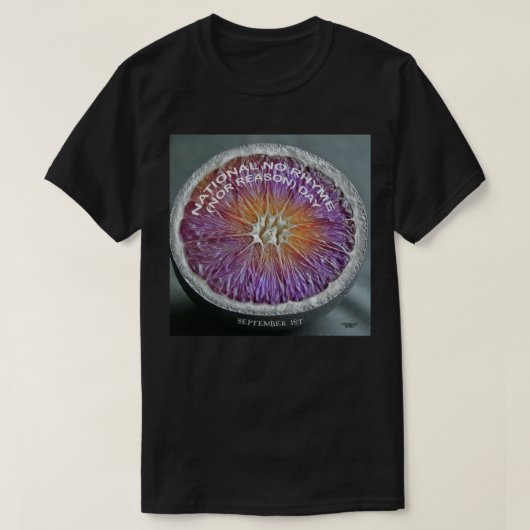 国歌の無い日 Tシャツ (デザイン正面)