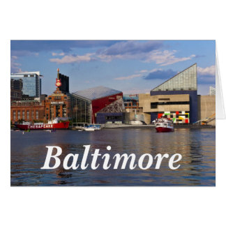 国民のアクアリウム-ボルティモア2