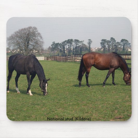 国民のスタッド マウスパッド (正面)