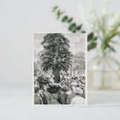 国民は戦争にあり人無し ポストカード (スタンド正面)