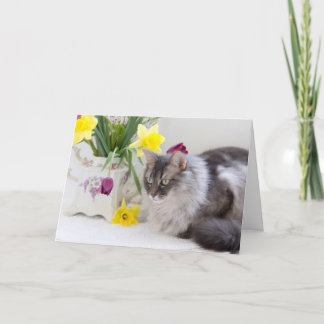 国民兄弟姉妹の日！ カード