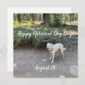 国民犬デーおめでとう！  シーズンカード (正面/裏面)