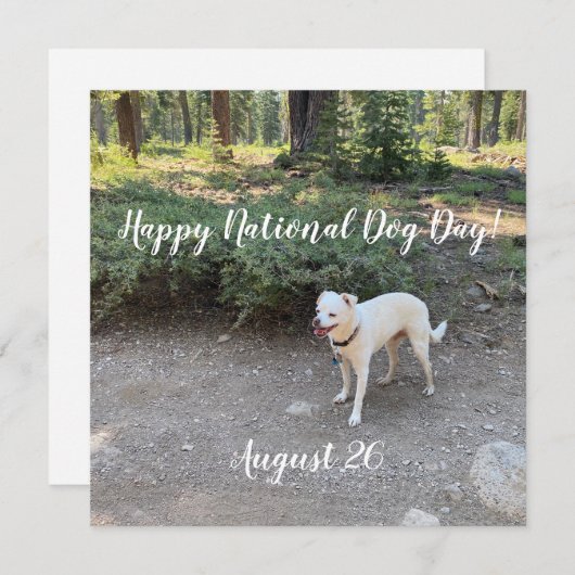 国民犬デーおめでとう！  シーズンカード (正面/裏面)