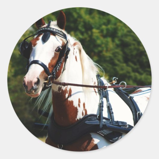 国民運動 ラウンドシール (正面)