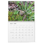 国生活カレンダー カレンダー (3月 2027)