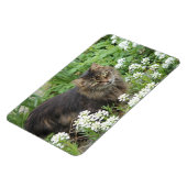 国産の長毛猫 マグネット (左側)