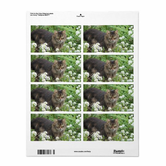 国産の長毛猫 ラベル (フルシート)