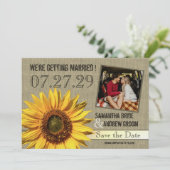 国産ひまわり保存日 セーブザデート (スタンド正面)