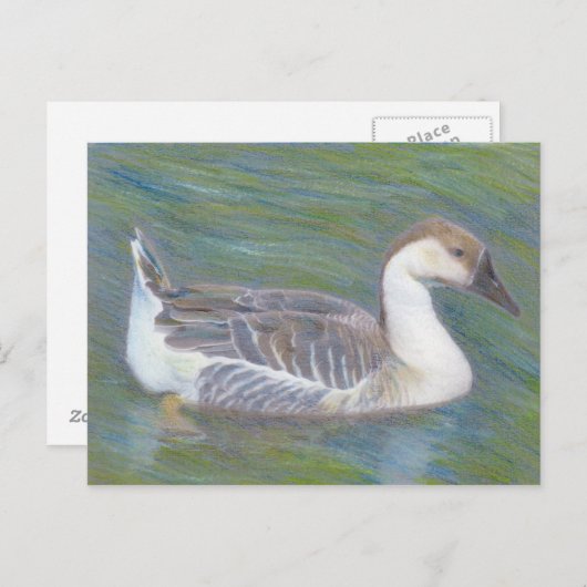 国産グースファインアートアニマル葉書 ポストカード (正面/裏面)