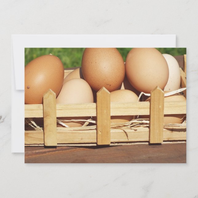 国産チキン卵 (正面)