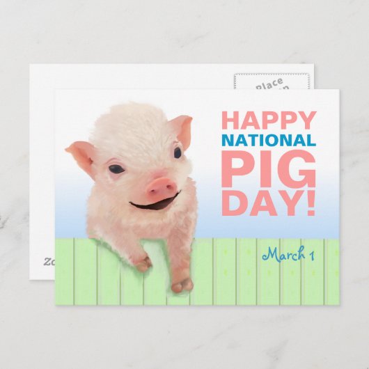 国産ピグデーおめでとう！ ポストカード (正面/裏面)