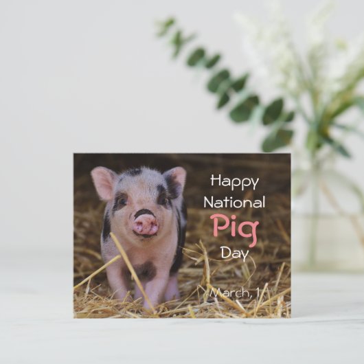 国産ピグデーおめでとう！（3月1日） ポストカード (スタンド正面)