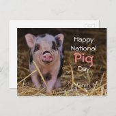 国産ピグデーおめでとう!(3月1日) ポストカード (正面/裏面)